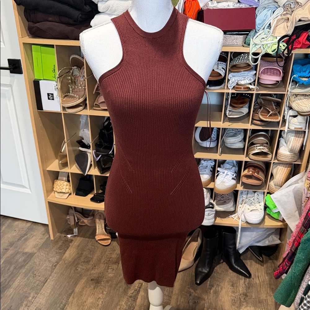 Express Ribbed Sleeveless Mini Dress in Rich Brown